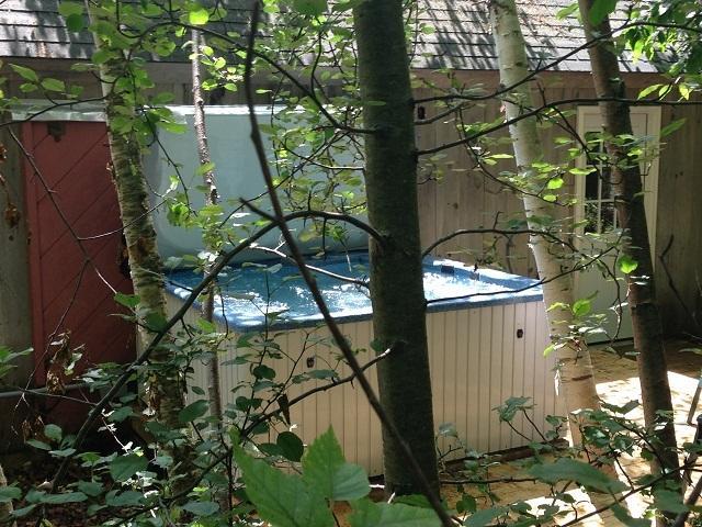White Mountain Experience Hotell Jackson Rom bilde